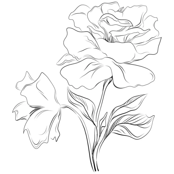 黒と白の刻まれた花のベクトル図 装飾的な要素のぬり絵 ラッパー描画 — ストックベクタ