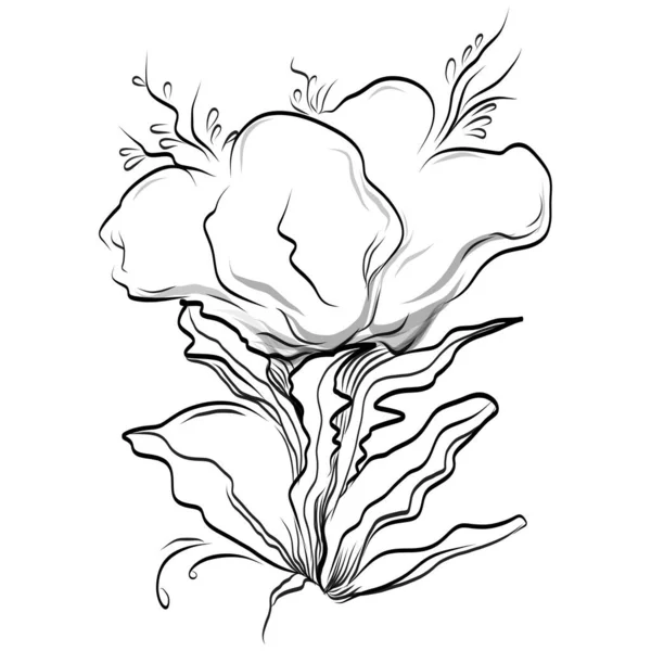 Векторна Ілюстрація Чорно Білих Гравірованих Квітів Декоративний Елемент Розмальовки Намальований — стоковий вектор