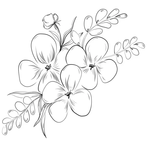 Vector Illustration Black White Engraved Flowers Decorative Element Coloring Book — Stock Vector