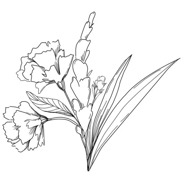 Διανυσματική Απεικόνιση Ενός Μαύρου Και Λευκού Χαραγμένου Λουλουδιού Διακοσμητικό Στοιχείο — Διανυσματικό Αρχείο