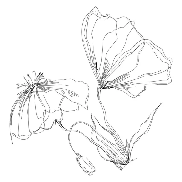 Vektorová Ilustrace Černobílých Rytých Květin Dekorativní Prvek Pro Omalovánky Kreslené — Stockový vektor