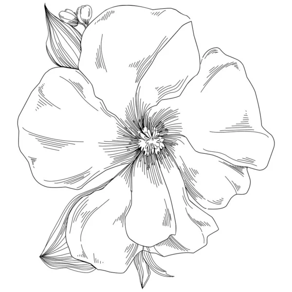 Векторна Ілюстрація Чорно Білих Гравірованих Квітів Декоративний Елемент Розмальовки Намальований — стоковий вектор