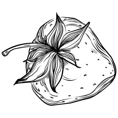 Siyah ve beyaz oymalı çiçeklerin vektör çizimi. Boyama kitabı için dekoratif öge, ambalaj çizimi.