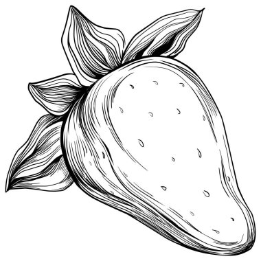 El çizimi taze meyve karikatürü, illüstrasyon