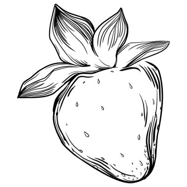 El çizimi taze meyve karikatürü, illüstrasyon