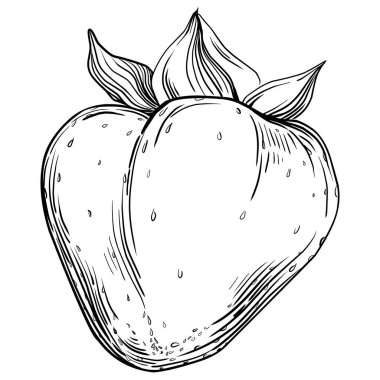 El çizimi taze meyve karikatürü, illüstrasyon