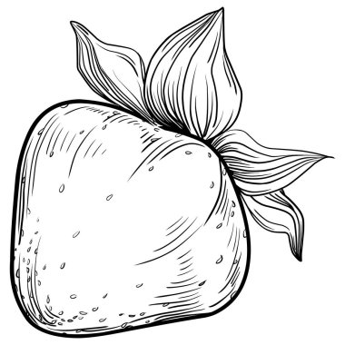 Siyah ve beyaz oymalı çiçeklerin vektör çizimi. Boyama kitabı için dekoratif öge, ambalaj çizimi.