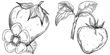 El çizimi taze meyve karikatürü, illüstrasyon