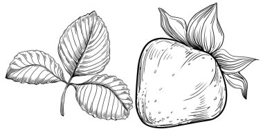 El çizimi taze meyve karikatürü, illüstrasyon