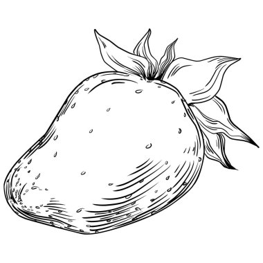 El çizimi taze meyve karikatürü, illüstrasyon