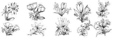 Siyah ve beyaz oymalı çiçeklerin vektör çizimi. Boyama kitabı için dekoratif öge, ambalaj çizimi.