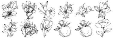 Siyah ve beyaz oymalı çiçeklerin vektör çizimi. Boyama kitabı için dekoratif öge, ambalaj çizimi.