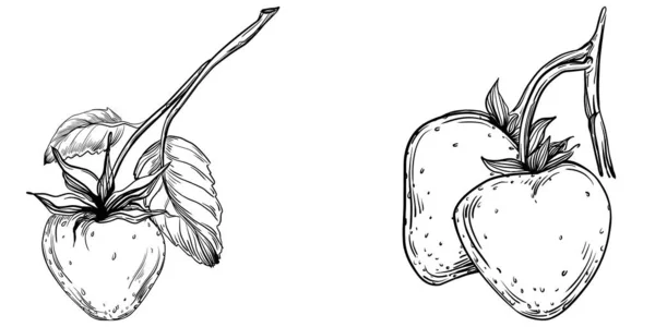 Dibujos Animados Dibujados Mano Fruta Fresca Ilustración — Archivo Imágenes Vectoriales