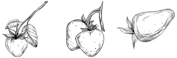Ručně Kreslená Kreslená Kresba Čerstvého Ovoce Ilustrace — Stockový vektor
