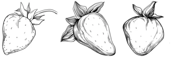 Ručně Kreslená Kreslená Kresba Čerstvého Ovoce Ilustrace — Stockový vektor