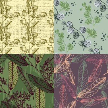 Kusursuz okaliptüs yaprakları. Çiçekli botanik çiçeği. Arkaplan, doku, ambalaj deseni, çerçeve veya kenar çizimi için vektör el.