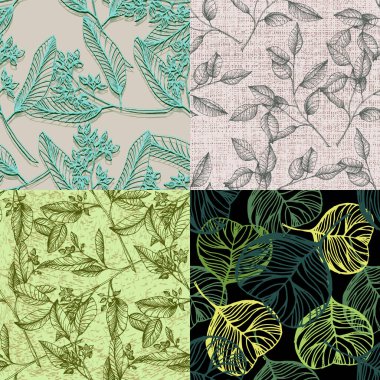 Kusursuz okaliptüs yaprakları. Çiçekli botanik çiçeği. Arkaplan, doku, ambalaj deseni, çerçeve veya kenar çizimi için vektör el.