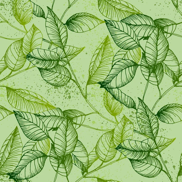 无缝隙桉叶 植物植物的花 矢量手绘野花 用于背景 包装图案 框架或边框 — 图库矢量图片