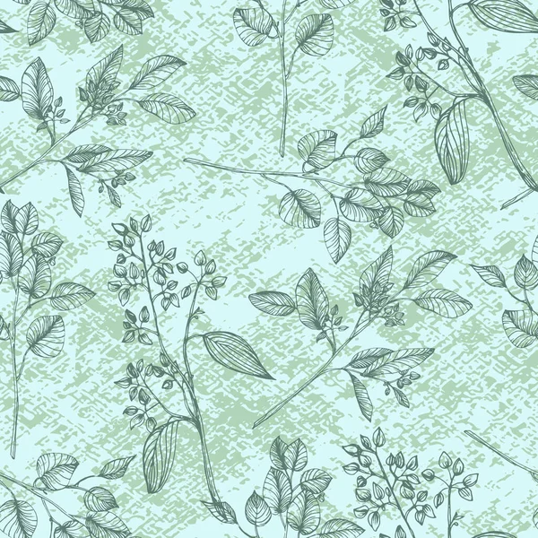 Nahtlose Eukalyptusblätter Florale Botanische Blume Vektor Handzeichnung Wildflower Für Hintergrund — Stockvektor
