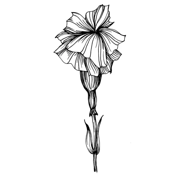 カーネーションの花 花の植物の花 孤立したイラスト要素 テクスチャ ラッパーパターン フレームまたは境界線のためのベクトル手描きの野花 — ストックベクタ