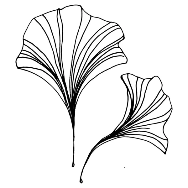Травяные Растения Гинкго Рисуют Вручную Цветочные Татуировки Детализированы Линейном Стиле — стоковый вектор