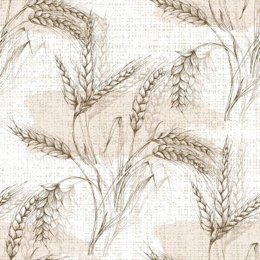 Vektör Tarım Kusursuz Düzen. Buğday alanı, elle çizilmiş kulaklarla kusursuz doku deseni, klasik tarzda soyut tasvir vektör çizimi.