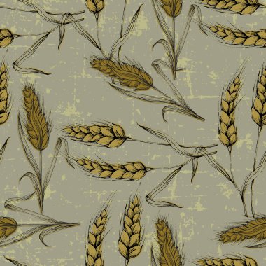 Vektör Tarım Kusursuz Düzen. Buğday alanı, elle çizilmiş kulaklarla kusursuz doku deseni, klasik tarzda soyut tasvir vektör çizimi.