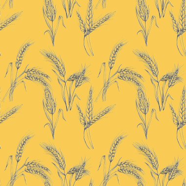 Vektör Tarım Kusursuz Düzen. Buğday alanı, elle çizilmiş kulaklarla kusursuz doku deseni, klasik tarzda soyut tasvir vektör çizimi.