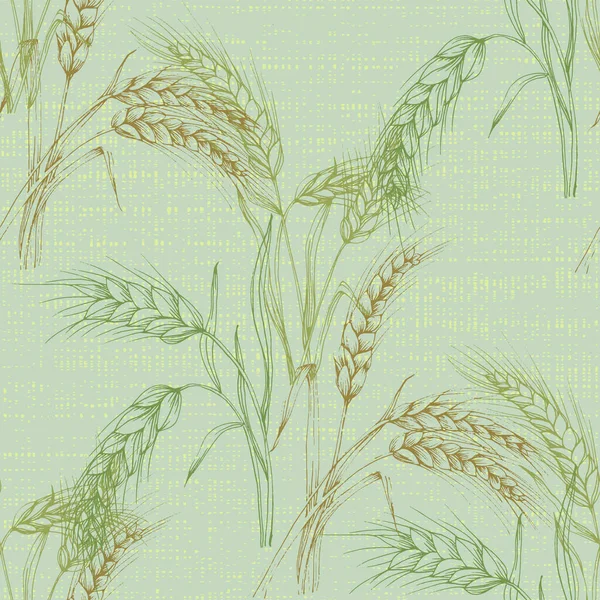 Vector Agriculture Seamless Pattern Wheat Field Seamless Texture Pattern Hand — Stock Vector