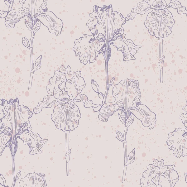 Iris Nahtlose Muster Botanical Für Packpapier Textilien Und Tapeten Vintage — Stockvektor