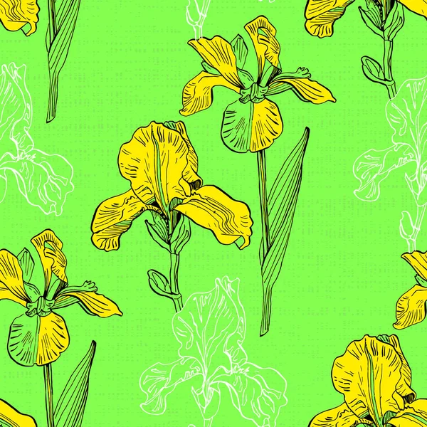 Iris Patrones Sin Costura Botánico Para Papel Envolver Textil Papel — Vector de stock
