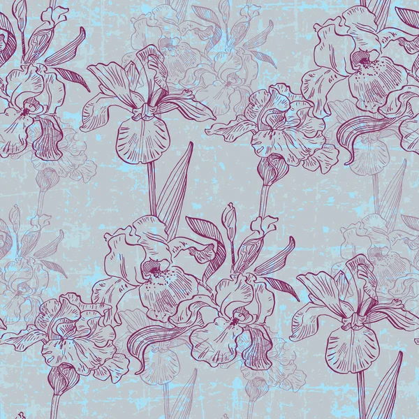 Irises Seamless Patterns Botanical Wrapping Paper Textile Wallpaper Engraved Vintage — Stock Vector