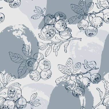 Okaliptüs yaprakları. Çiçekli botanik çiçeği. İzole illüstrasyon elementi. Arkaplan, doku, ambalaj deseni, çerçeve veya kenar çizimi için vektör el.