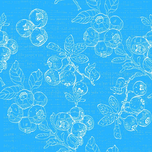 桉树叶子 植物植物的花 孤立的说明性元素 矢量手绘野花 用于背景 包装图案 框架或边框 — 图库矢量图片