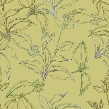 Kusursuz nane yaprakları. El çizimi. Tekstil basımı ve yetişkin boyama kitapları için iyidir..