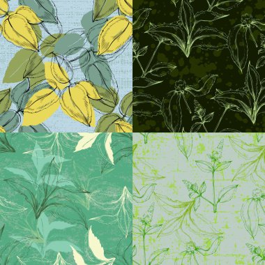 Kusursuz nane yaprakları. El çizimi. Tekstil basımı ve yetişkin boyama kitapları için iyidir..