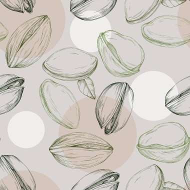 Çam fıstığı çizimi. Kusursuz desen. Eski tarz. Botanik çizimi. Fındık koleksiyonu.