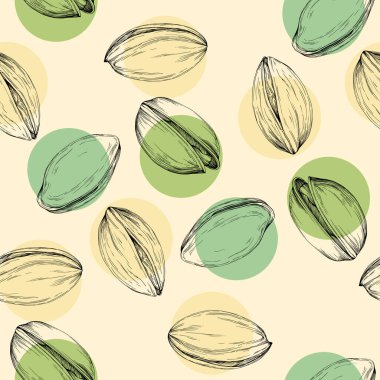 Çam fıstığı çizimi. Kusursuz desen. Eski tarz. Botanik çizimi. Fındık koleksiyonu.