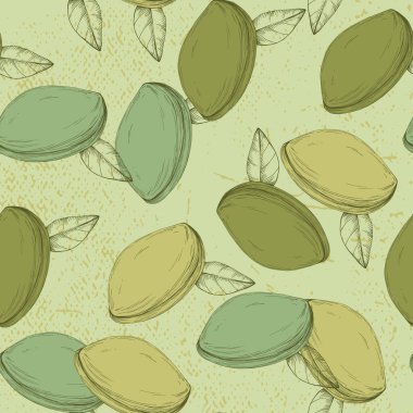 Çam fıstığı çizimi. Kusursuz desen. Eski tarz. Botanik çizimi. Fındık koleksiyonu.