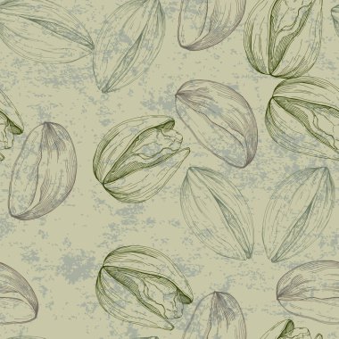 Çam fıstığı çizimi. Kusursuz desen. Eski tarz. Botanik çizimi. Fındık koleksiyonu.