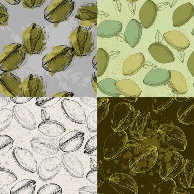 Çam fıstığı çizimi. Kusursuz desen. Eski tarz. Botanik çizimi. Fındık koleksiyonu.