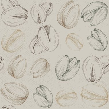 Fıstıklı kusursuz desen. Yazdırma için el çizimi renkli vektör çizimi.