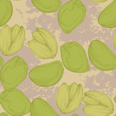 Fıstıklı kusursuz desen. Yazdırma için el çizimi renkli vektör çizimi.