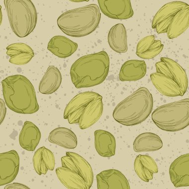 Fıstıklı kusursuz desen. Yazdırma için el çizimi renkli vektör çizimi.