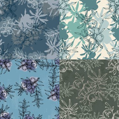 Ardıç meyvesi ve bir dalla kusursuz desen. Kozmetik ve tıbbi tesis. El çizimi illüstrasyon Klasik bayram dekoru.