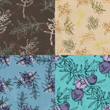 Ardıç meyvesi ve bir dalla kusursuz desen. Kozmetik ve tıbbi tesis. El çizimi illüstrasyon Klasik bayram dekoru.