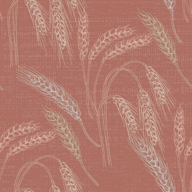 Buğday tarımı kusursuz desen. Ekmek etiketi tasarımının arka planı için buğday elle çizilmiş vektör çizimi, fırın paketleme. Ev yapımı yemek afişi. Yemek kursları afişi.