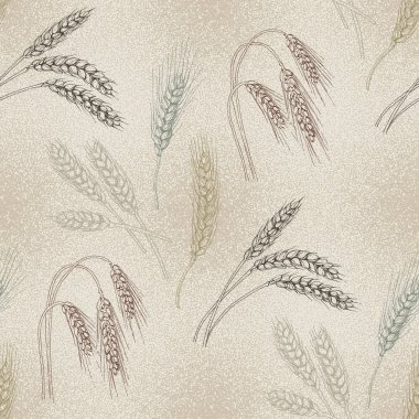 Buğday tarımı kusursuz desen. Ekmek etiketi tasarımının arka planı için buğday elle çizilmiş vektör çizimi, fırın paketleme. Ev yapımı yemek afişi. Yemek kursları afişi.