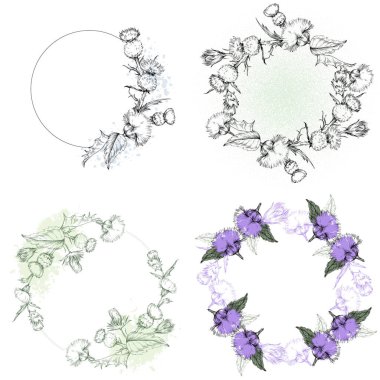 İskoç Devedikeni Çiçeği Kusursuz Desen.