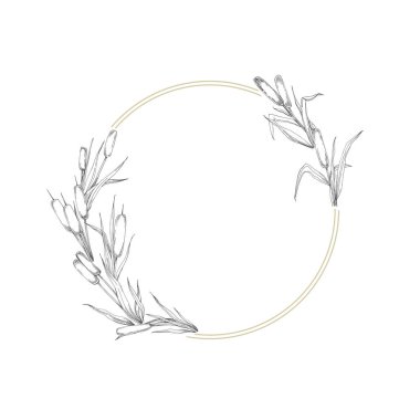 Çizgili sazlıkların kusursuz deseni.